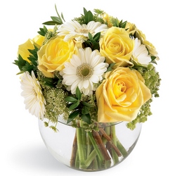 Bowl of Sunshine<br><b>FREE DELIVERY from Flowers All Over.com